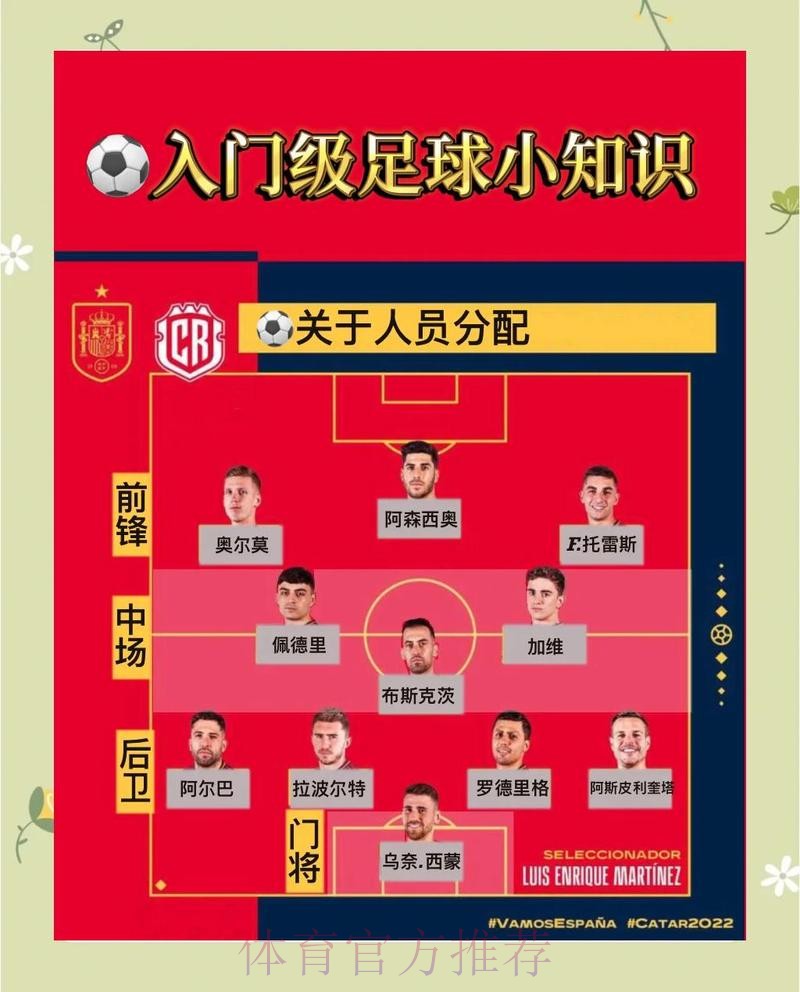 本届世界杯葡萄牙哈兰德比赛解读完整指南